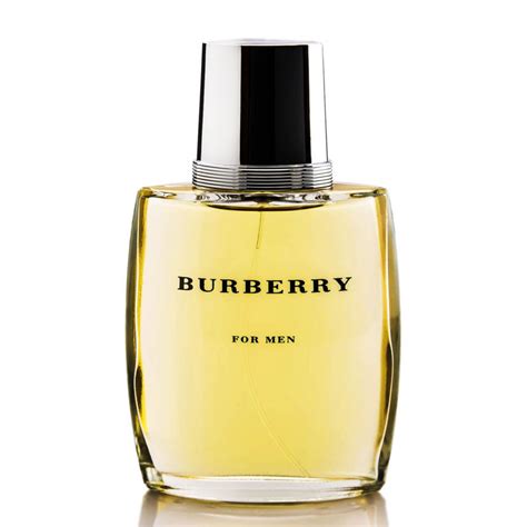 burberry classic erkek 100 ml